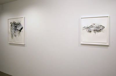Installation view 2013 9