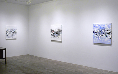 Installation view 2016 1