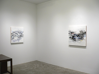 Installation view 2016 3