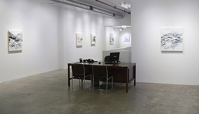 Installation view 2016 4