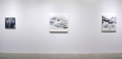 Installation view 2016 5