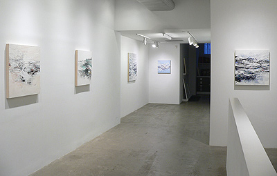 Installation view 2016 6