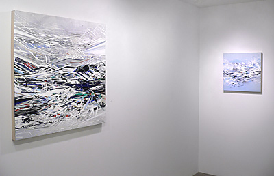 Installation view 2016 9