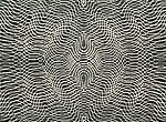 Daniel Hill, Untitled 24