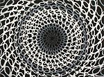 Daniel Hill, Untitled 27