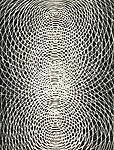 Daniel Hill, Untitled 12