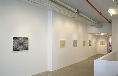 Installation view 2012 5