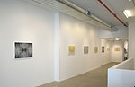 Drakopoulos Hill, 2012 installation 5