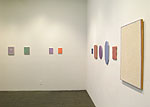 Lori Ellison, 2012 installation 11