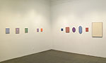 Lori Ellison, 2012 installation 13