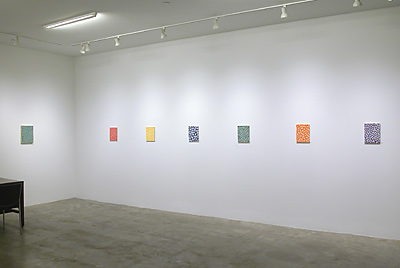 Installation View 2015-16 1