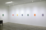 Lori Ellison, installation 1