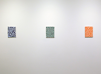 Installation View 2015-16 2