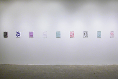 Installation View 2015-16 5