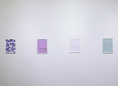 Installation View 2015-16 6