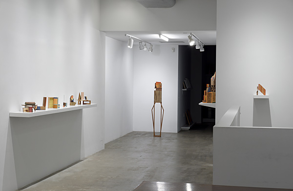 Installation View 2022 8