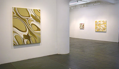 Installation view 2010 4