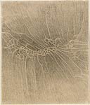 James Nelson, Untitled JN10042
