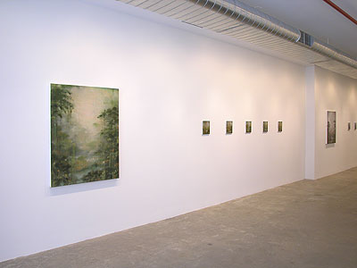 Installation view 2013 4