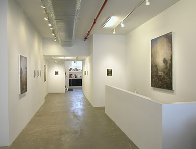 Installation view 2013 5