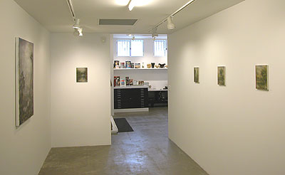 Installation view 2013 7