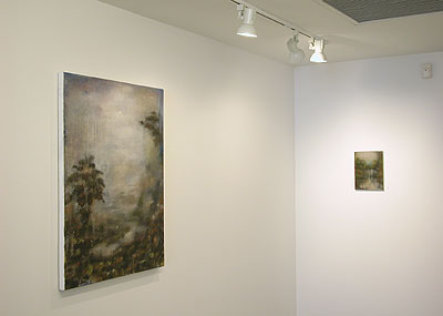 Installation view 2013 8