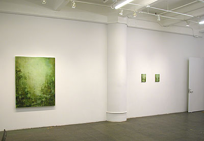 Installation view 2010 3