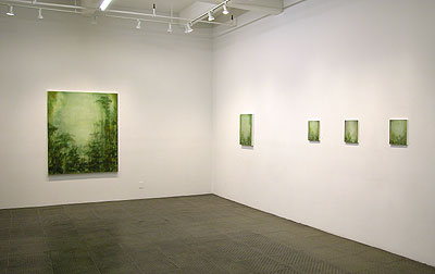 Installation view 2010 5