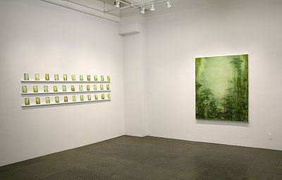 Installation view 2010 6