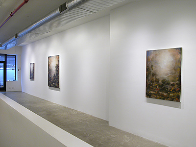 Installation view 2015 11