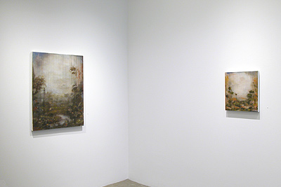 Installation view 2015 3