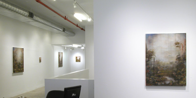 Installation view 2015 5