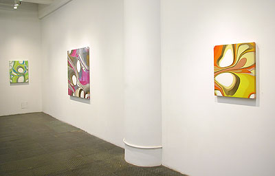 Installation view 2012 3