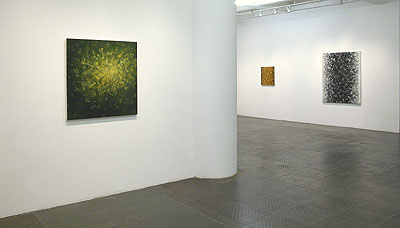 Installation View 2011 1