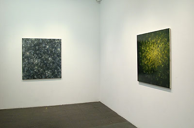 Installation View 2011 2