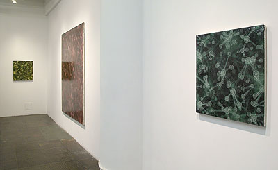 Installation View 2011 3