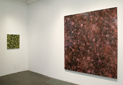 Installation View 2011 4