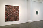 David Mann, 2011 installation 5