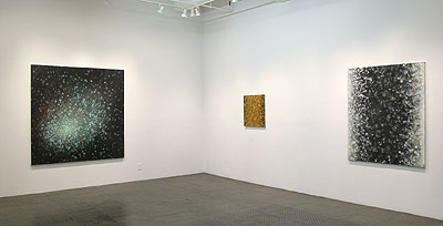 Installation View 2011 6