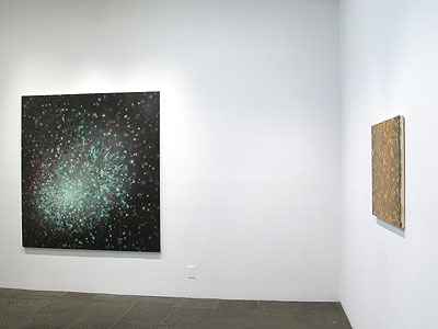 Installation View 2011 7