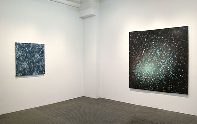 Installation View 2011 8