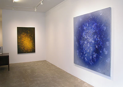 Installation View 2013 1