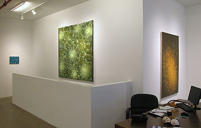 Installation View 2013 4