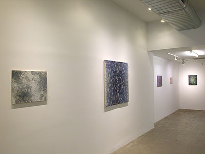 Installation View 2013 6