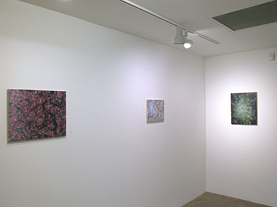 Installation View 2013 7