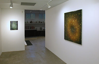 Installation View 2013 8