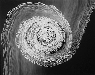 Untitled Photogram (Small Double Spiral/Clockwise) 