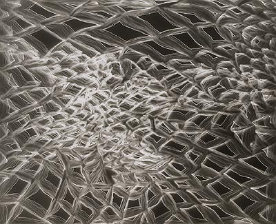 Untitled Photogram (QCG/3) 