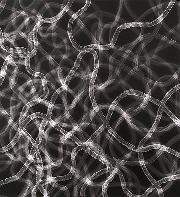 Untitled Photogram (11X5L-4) 