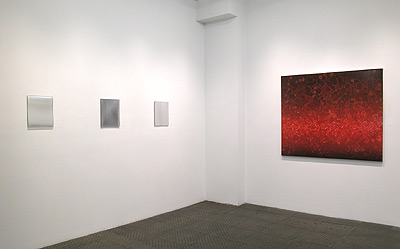 Installation view 2010 5